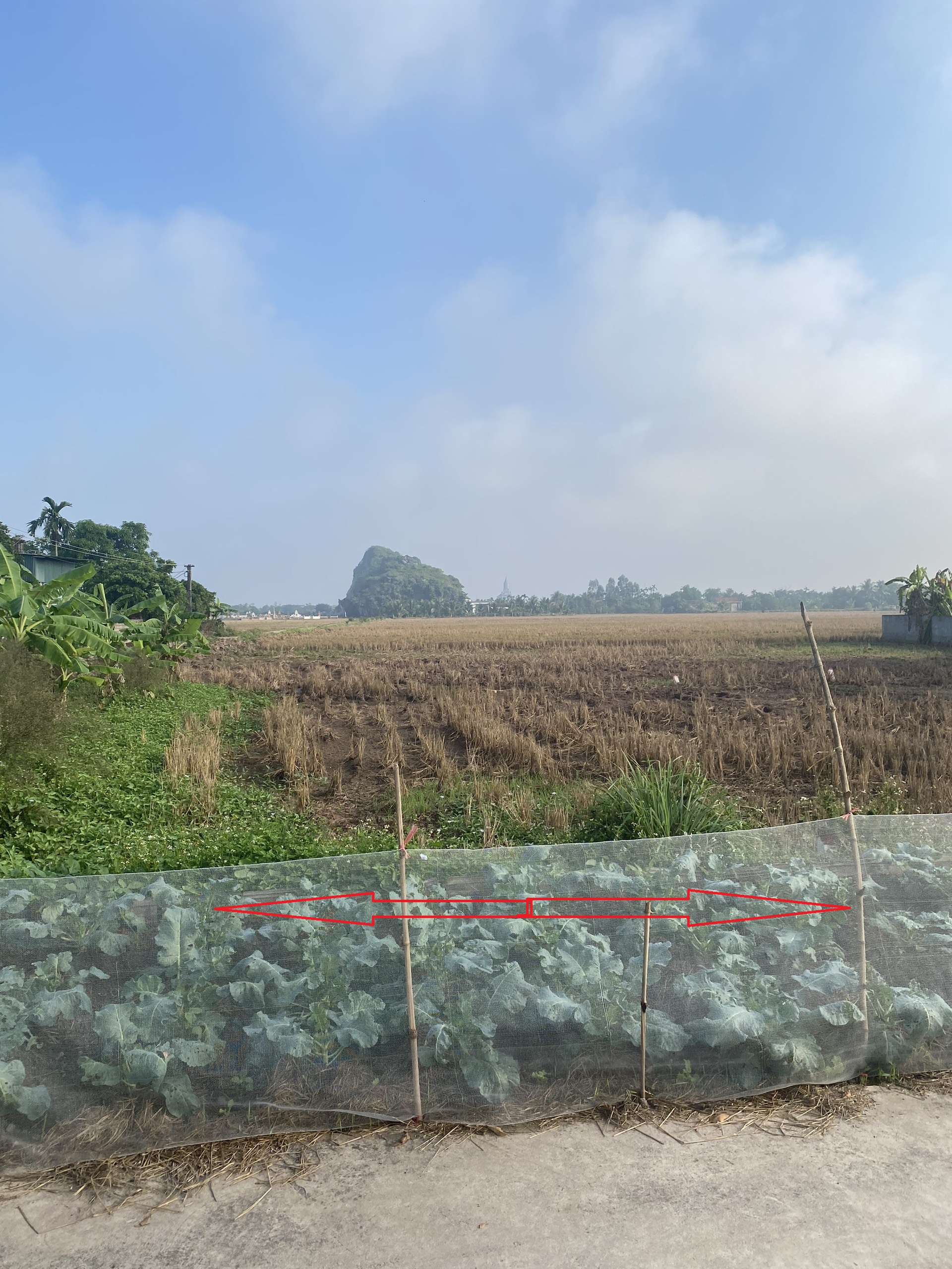 Bán BĐS thửa đất 548 tại Đường gom TL 524, xã Nga Phú, huyện Nga Sơn, tỉnh Thanh Hóa